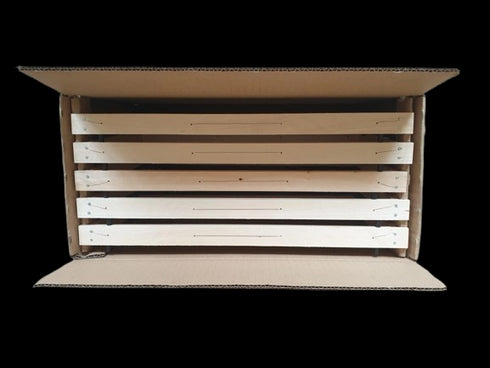 Box for Bee Nucleus with Mesh for Transporting Bee Nuclei (5 Frames)